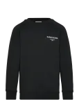 Bj&ouml;rn Borg - Borg Essential 1 Sweatshirt - Dressipluusid - 110-116