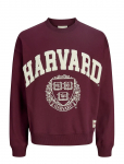 Jack & Jones - Jorharvard Sweat C.n Styd Ss25 - Dressipluusid - XL