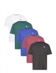 Abercrombie Kids - Ty-5Pk Tees - L&uuml;hikeste varrukatega - 132/140