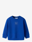 Name It - Nmmhaddian Ls Rlx Swe Unb Box - Dressipluusid - 98