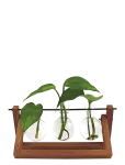 Winkee - Hydro Vases Blossom - Muud vaasid - H8CM