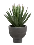 House Nordic - Thora - With Pot, Artificial - Kuivatatud ja kunstlilled - 32X31XH41CM