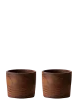 Aida - Raw Egg Cup 2-Pack - Munatopsid - ONE SIZE