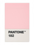 PANTONE - Pantone Creditcard Holder In Matte And Giftbox - Kaarditaskud - H:11CM