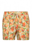 Bj&ouml;rn Borg - Borg Print Swim Shorts - L&uuml;hikesed p&uuml;ksid - L