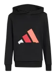 Adidas Sportswear - J Bl Ft Hd 280 - Kapuutsiga pusad - 128