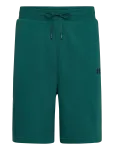 Under Armour - Ua Rival Lw Shorts - L&uuml;hikesed spordidressip&uuml;ksid - L