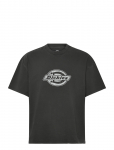 Dickies - Plainville Ss Tee - L&uuml;hikeste varrukatega - M