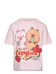 Name It - Nkfabbi Capybara Ss Nreg Top Lnoos Sky - L&uuml;hikeste varrukatega - 134-140