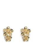 Pieces - Pcpatricia M Earrings - Statement k&otilde;rvar&otilde;ngad - ONE SIZE