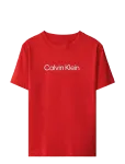 Calvin Klein - Inst.logo Ss T-Shirt - L&uuml;hikeste varrukatega - 164 x 14