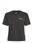 Quiksilver - Standard Ss Tee - Spordi l&uuml;hikeste varrukatega l&uuml;hikesed topid - XS
