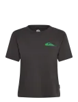 Quiksilver - Standard Ss Tee - Spordi l&uuml;hikeste varrukatega l&uuml;hikesed topid - XS