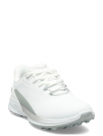 Skechers - Skechers Pure Si - Spordi golfijalatsid - 37