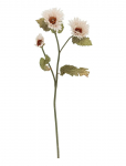 Bloomingville - Chrysantemum Stem - Kuivatatud ja kunstlilled - H96CM
