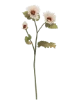 Bloomingville - Chrysantemum Stem - Kuivatatud ja kunstlilled - H96CM