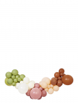 IPK - Diy Balloon Garland Earthy Tones - Peotarbed - ONE SIZE