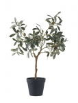 House Nordic - Olive Artificial Plant, Green, H:61 Cm - Kuivatatud ja kunstlilled - 36.5X22.5XH61CM