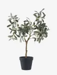 House Nordic - Olive Artificial Plant, Green, H:61 Cm - Kuivatatud ja kunstlilled - 36.5X22.5XH61CM