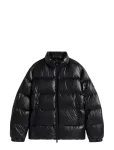 Tommy Hilfiger - Shiny Down Stand Puffer - Polsterdatud jakid - M