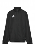 Adidas Performance - Ent26 Prejkty - Tuulejoped - 116