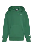 Champion - Hooded Sweatshirt - Kapuutsiga pusad - 176