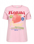 ONLY Carmakoma - Carbolette Life Reg S/S Top Box Jrs - L&uuml;hikeste varrukatega - 46-48