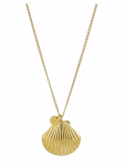 Bud To Rose - Marbella Shell Long Necklace Gold - Kett-kaelakeed - ONE SIZE