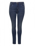 ONLY Carmakoma - Caraugusta Hw Sk Dnm Jeans Bj13964 Noos - Kitsad - 42 x 32