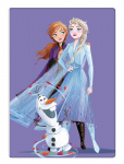 Frost - Fleece Plaid Frozen 1037 - Tekid ja pleedid - 100X140CM