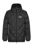 EA7 - Down Jacket - Polsterdatud jakid - XXL