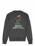 THE ANIMALS OBSERVATORY - Flowers Dark Frey Bear Sweatshirt - Dressipluusid - 8 Y