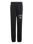 Adidas Sportswear - J Clgt Fl Pnt - Dressip&uuml;ksid - 164