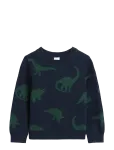 GAP - Baby & Toddler Crewneck Sweater - Pulloverid - 110
