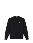 Dickies - M Summerdale Sweatshirt - Dressipluusid - XS