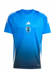 Adidas Performance - Jb Tr Jsy - Spordi jalgpallis&auml;rgid - L