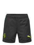 PUMA - Neymar Jr Creativity Training Shorts Jr - Spordi l&uuml;hikesed p&uuml;ksid - 176