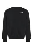 The North Face - M Evolution Simple Dome Regular Crew - Spordidressipluusid - XL