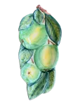 Caja Company - Spoon Rest Green Apple - Serveerimisvaagnad - 12X17CM.H2CM