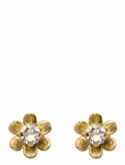 Caroline Svedbom - Juni Stud Earrings Gold - Needid - ONE SIZE