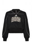 Adidas Sportswear - Jg Std Swt - Dressipluusid - 164