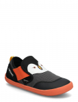 Viking - Alv Barefoot Paw Sandal - Sandaalid - 21