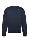 The North Face - M Evolution Simple Dome Regular Crew - Spordidressipluusid - XS