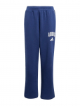Adidas Sportswear - J Clgt Fl Pnt - Dressip&uuml;ksid - 164