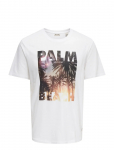 ONLY & SONS - Onsmagdy Life Reg Photoprint Ss Tee - L&uuml;hikeste varrukatega - XS
