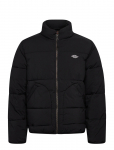 Dickies - M Summerdale Puffer - Polsterdatud jakid - XXL