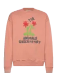 THE ANIMALS OBSERVATORY - Flowers Dusty Coral Bear Sweatshirt - Dressipluusid - 12 Y