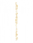 That's Mine - Shell Growth Chart Beige - Nature - ONE SIZE