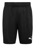 PUMA - Teamgoal Training Short - Spordi l&uuml;hikesed treeningp&uuml;ksid - S