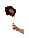 Studio About - Paper Flower - Kuivatatud ja kunstlilled - ONE SIZE